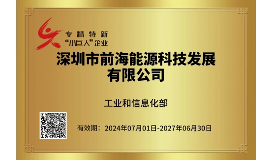 【新聞前沿】本批次全國(guó)唯一！前海“小巨人”干出能源“大事業(yè)”→